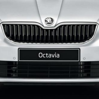 Решетка радиатора Октавия